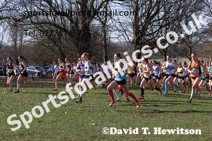 Womens under-17s 2025 UK CAU Inter Counties Cross Country Champs., Wollaton Park, Nottingham. Photo: David T. Hewitson/Sports for All Pics